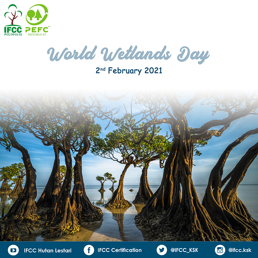 World Wetlands Day 2021_1_resize.jpg