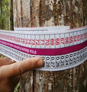 Measuring standing tree volume by using a volume tape